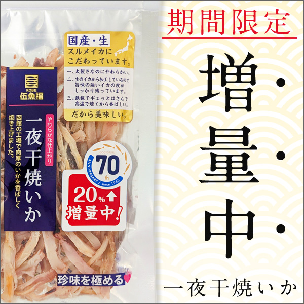 一夜干焼いか